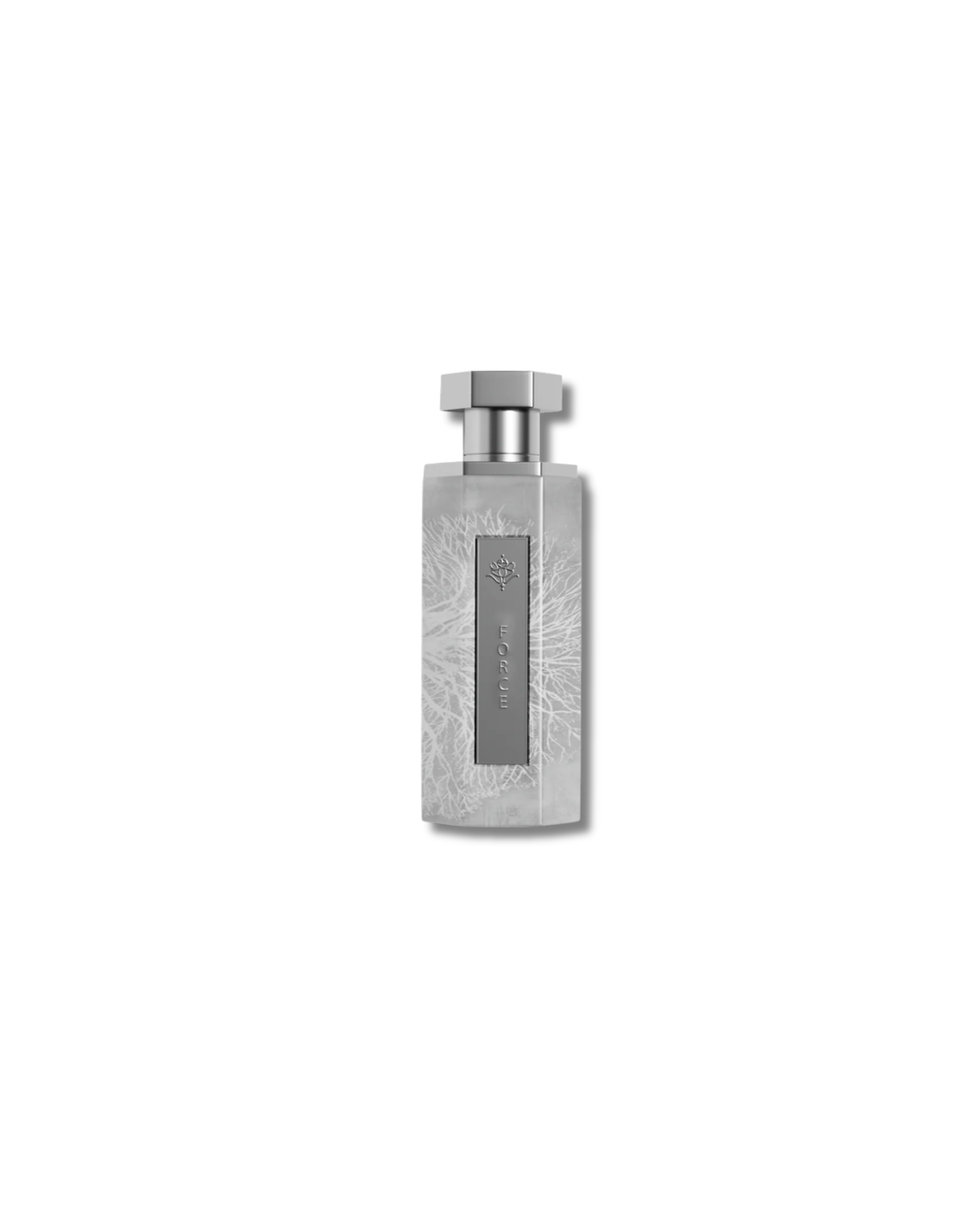 Reef Force 200ml Unisex Eau De Parfum - Caramel, Peony & White Musk